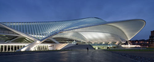 home-city-liege